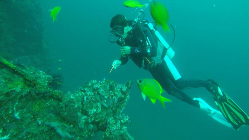 Ocean View Tulamben Dive & Resort  Image 17
