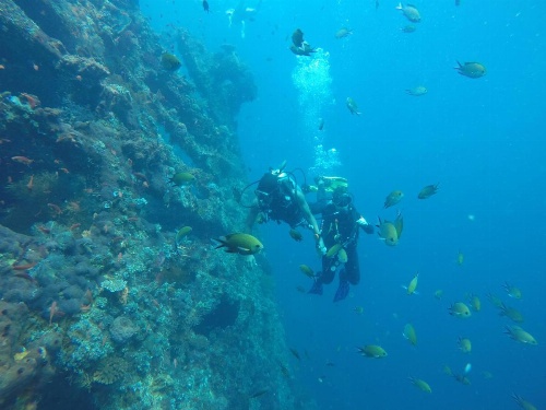 Ocean View Tulamben Dive & Resort  image 7