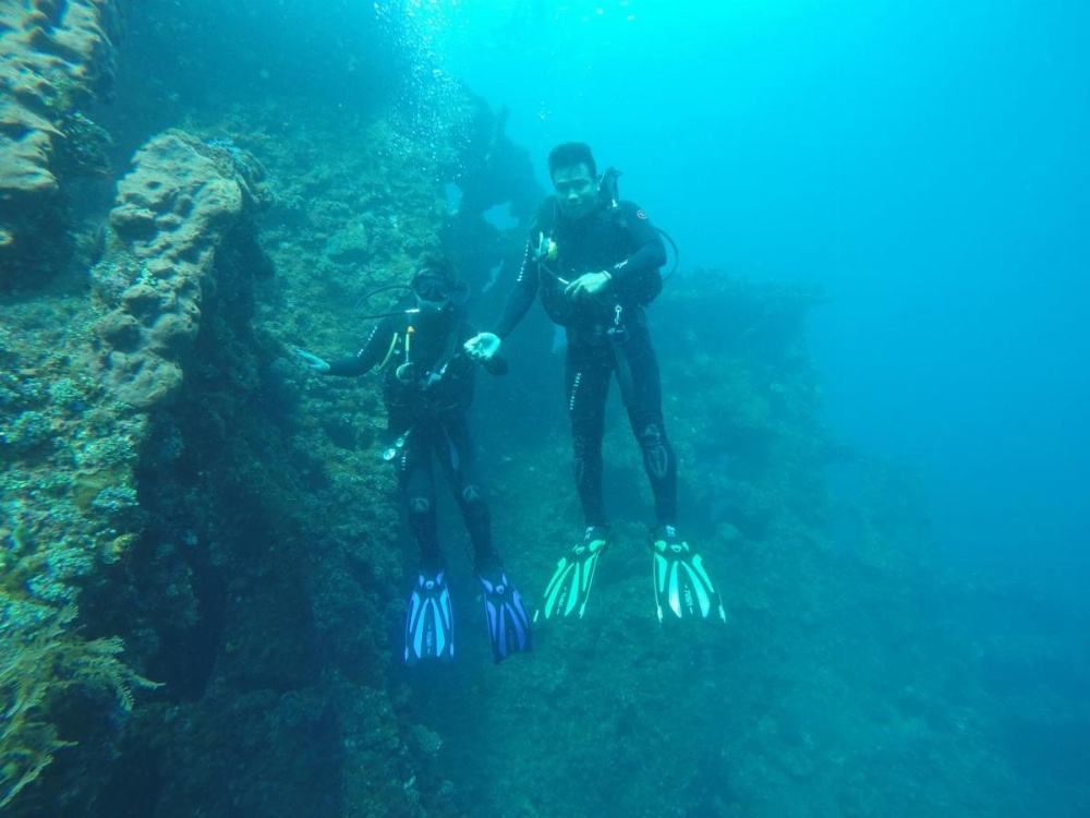Ocean View Tulamben Dive & Resort 